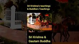 Sri Krishna's teachings and Buddha's teachings #krishna #buddha #buddhism #pluralism #gita #hindu