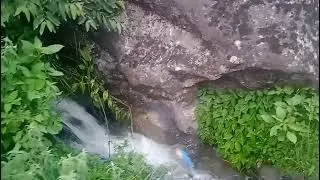 lachipora # wild life sanctuary