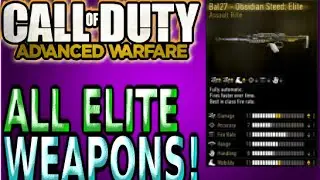 COD Advanced Warfare ALL Elite/Professional/Enlisted/Marksman Weapon Varients Gun List Multiplayer