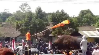 karnaval desa ngipik
