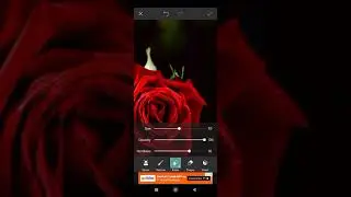 rose flower editing with PICSART App|photo editing|