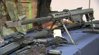 Straw purchases fuel Chicago gun violence, drug cartel mayhem