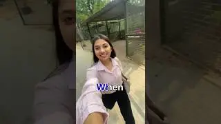 Mini Vlog #dpsru #dipsar #trending #minivlog