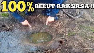Жизнь гигантских монстров в древних ямах, заполненных грязью, наконец-то раскрыта...