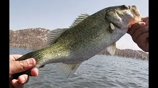 float tube part 2, Lake Perris Fishing!!