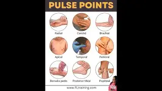 Pulse Points - Live Review with Nurse Eunice