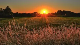 Sfeerbeelden Natuur 4K | Natuurbeelden zonder Muziek, Beelden voor op de TV | full HD 60 FPS