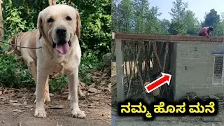  ನಮ್ಮ ಹೊಸ ಮನೆ | Volg | Pet care kannada 