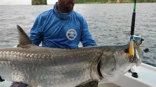 STRATEGIC ANGLER - PROTEUS