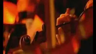 The Divine Comedy - Something For The Weekend live