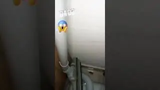 Dona barata, resolveu passar em casa nesta madrugada eu acordei o meu marido 😡🤦#barata  #madrugada #