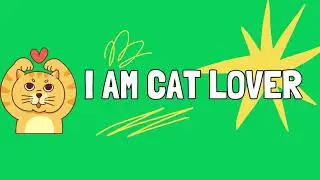 Cat Drawings