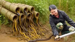 Harvesting many large eels, manual trap setting - Traditional Cooking | Poorna - Rural Daily Life