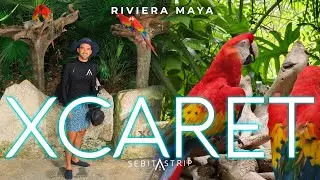 XCARET GUIA POR UN EXPERTO | ¿COMO APROVECHARLO EN UN DIA? | ¿CÓMO RESERVAR? @sebitastrip