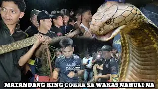 MATANDANG KING COBRA SA TANAUAN CITY BATANGAS ANG AMING MISSION 