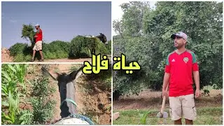 كيف يعيش سكان البادية؟ لكسب معيشتهم  