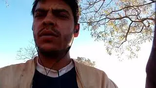 Trator de esteira ad7b limpeza de pasto