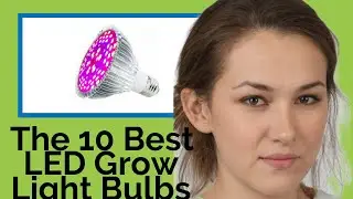 👉 The 10 Best LED Grow Light Bulbs 2020  (Review Guide)