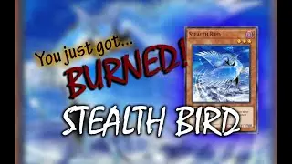 Burn Deck - The Stealth Bird | Yu-Gi-Oh! Master Duel