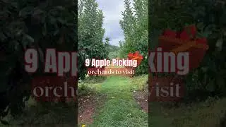 9 Apple Picking Orchards near Charlotte, NC