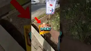 Be seen. Grab a brick!