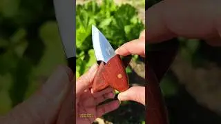 #Fruit Knife#meatknife #Good Knife Recommendation #kitchenknife #knifereview#goodknife #share #video