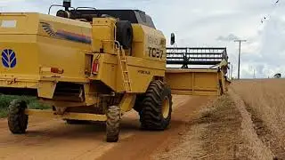 New Holland tc 57 colhendo soja - safra 2019