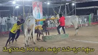 మేళ్లచెరువు రెండు పళ్ళ.. RK Bulls ఈశ్వర మహేశ్వర గిత్తలు