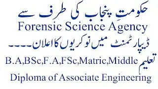 jobs in punjab forensic science agency department lahore
