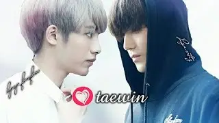 [NCT 127] Taeyong X Winwin |TAEWIN| Moments Pt. 2 #JustShippers ^^