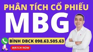 Ph&acirc;n t&iacute;ch cổ phiếu: MBG hiện vẫn nằm ở v&ugrave;ng gi&aacute; penny dưới gi&aacute; trị sổ s&aacute;ch, khuyến nghị mua?