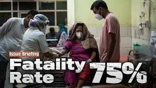 Nipah Virus Spreads Across India&mdash;Deadly 75% Fatality Rate and No Cure Puts Region on High Alert