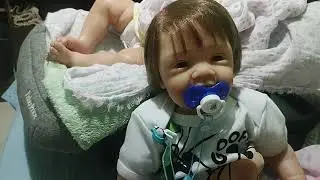 MOSTRADO MEUS LINDOS BEBÊ REBORN (ROLIPLAY).