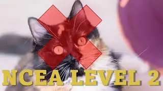 this NCEA exam exemplar is wrong about cat genetics