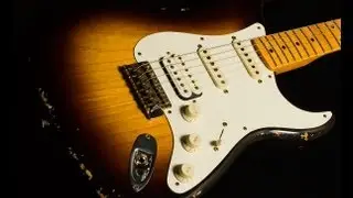 Fender Custom Shop Dealer Select Wildwood 