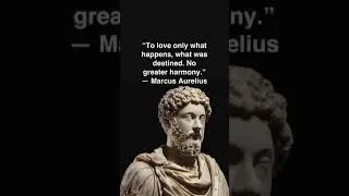 Harmony In Life : STOICISM