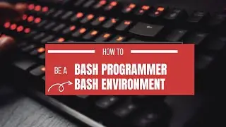 BASH - SET UP ENVIRONMENT