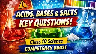 Acids, Bases & Salts | Class 10 Science | Competency Questions Answers | Easy Revision #10thscience 