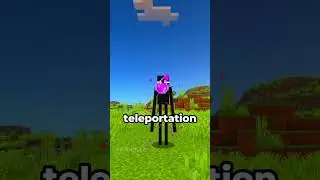 Minecraft New Potions... 😱