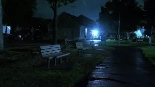 Attempted kidnapping at Johnston park