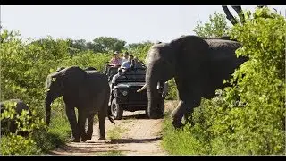 Responsible Travel: South Africa