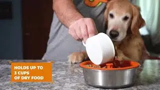 Slow Your Dog's Eating Down With The Mighty Paw Slow Feed Dog Bowl Insert
