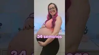 Evolu&ccedil;&atilde;o das &uacute;ltimas semanas de gesta&ccedil;&atilde;o