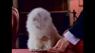 Fancy Feast commercial 1985