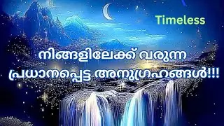Major blessings are coming 🙌| Timeless| Message from universe| Tarotreading