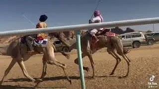 الخليج ل عناد نهاب العنزي ينتزع المركز الاول لشوط المارثون ويبتعد عن بقية المشاركين بميدان الاصايل
