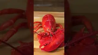 How to Cook and De-Shell Lobsters Correctly #shorts