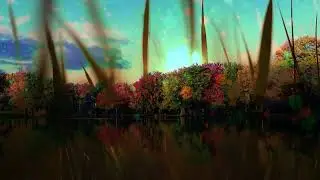 trippy music - The Last Shaman