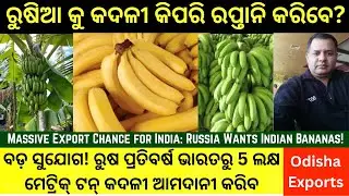 Huge Boost for Indian Exporters: Russia Plans to Import 500,000 MT Bananas Annually #odisha #odia