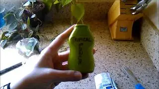 DIY Homemade Flavored Water Enhancer